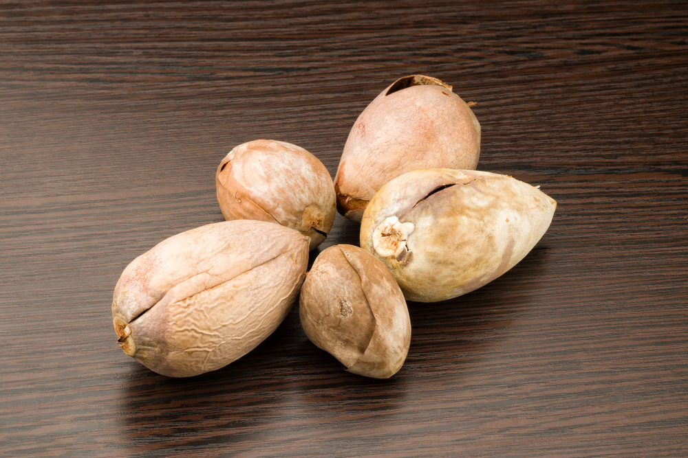 shutterstock 183991082