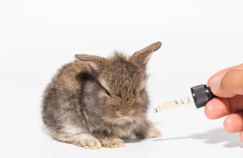 shutterstock 520310293