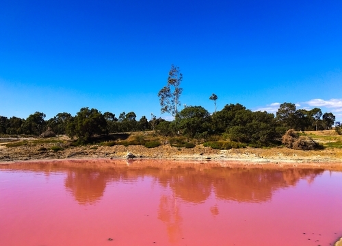 shutterstock 705904288 1