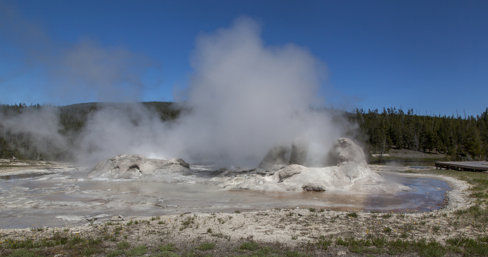 shutterstock 149051768