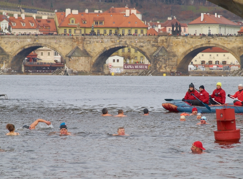 shutterstock 240136291