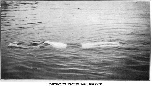plunge for distance handley 1918