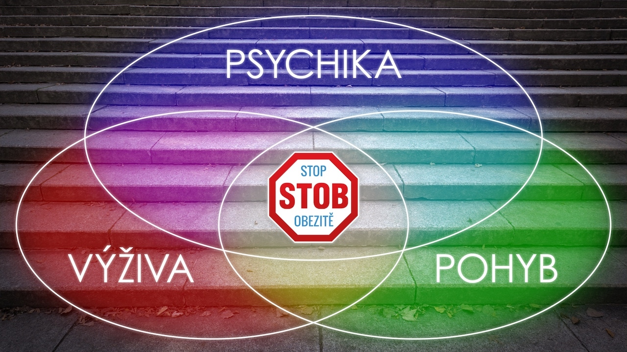 PhDr. Iva Málková vytvořila originální program, který vás naučí, jak nepodlehnout "jídlu navíc" a jak zacházet se stresujícími myšlenkami a emocemi. 1 stob vim vic