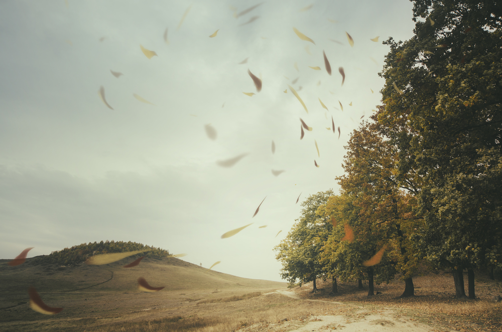 sumeni vetru shutterstock 264960899