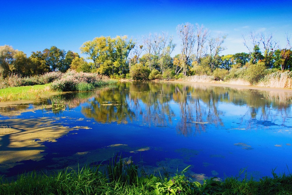 m shutterstock 1538512724