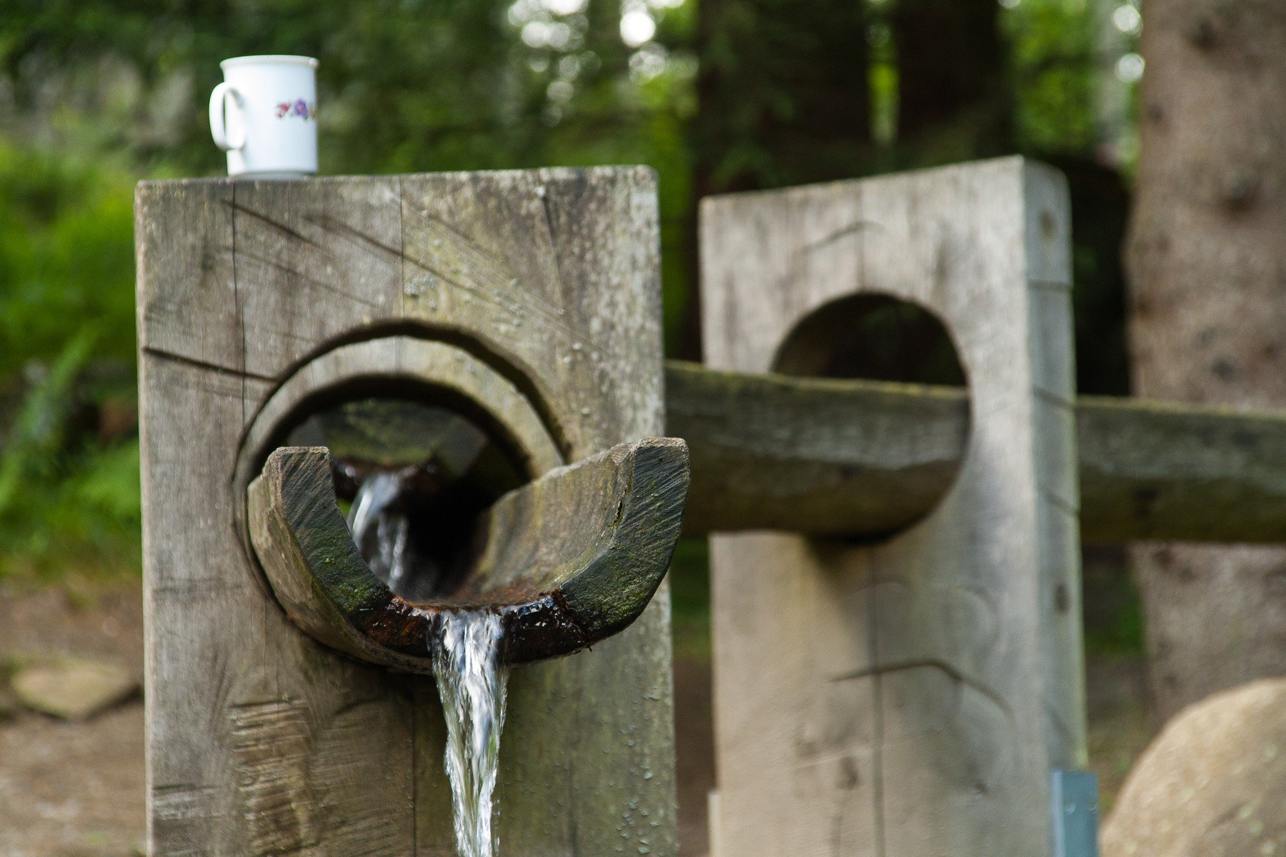 Studánka na Šumavě studanka sumava