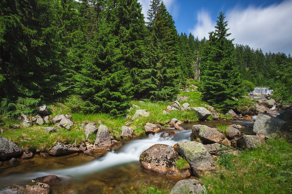 krkonose les