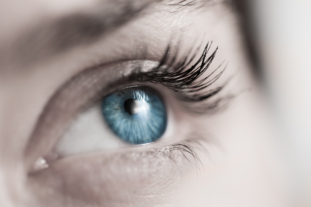 Jak vznikly modré oči?
