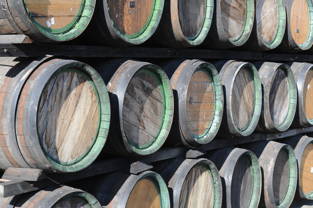 palenka sud 100607386