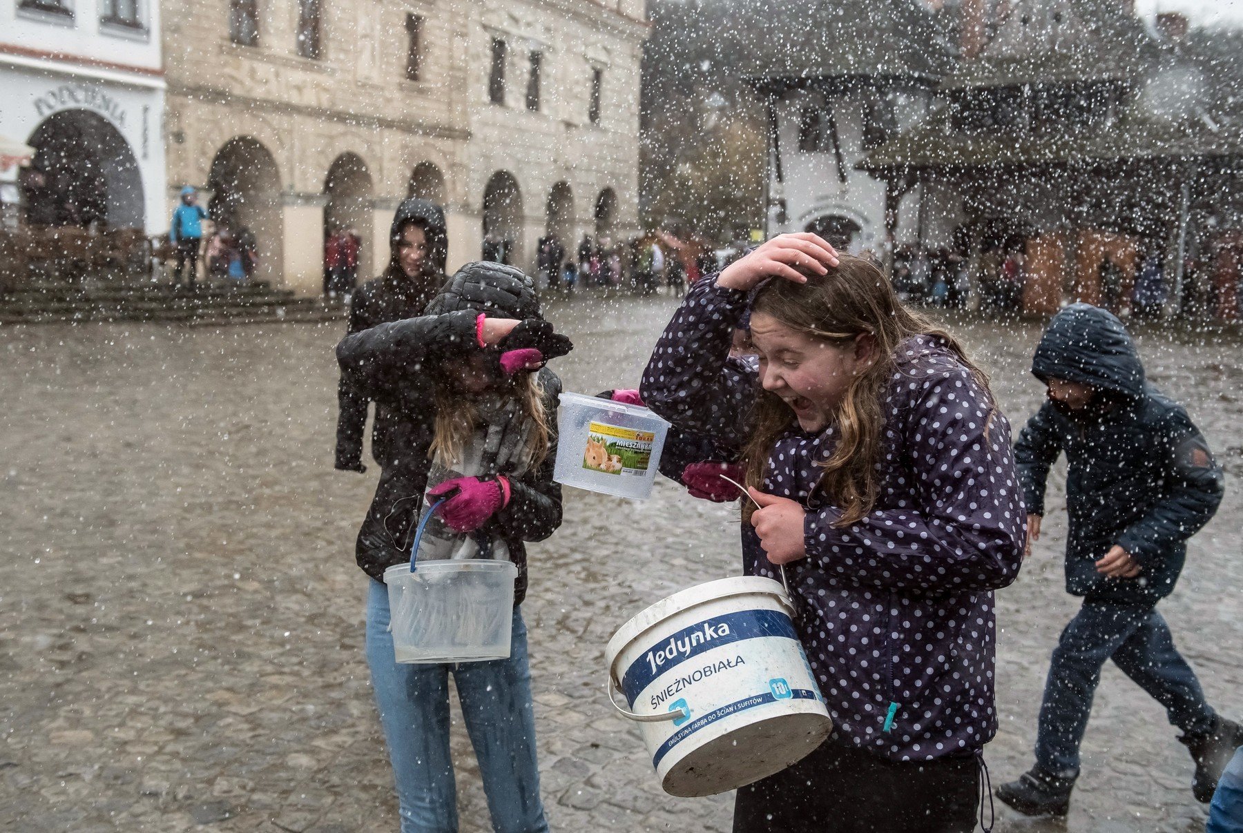 17 polsko 0367551508