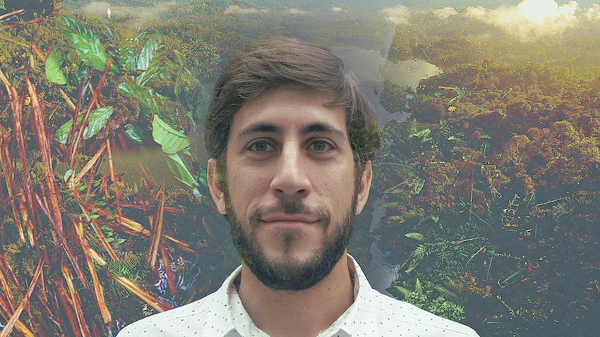 schenberg 3