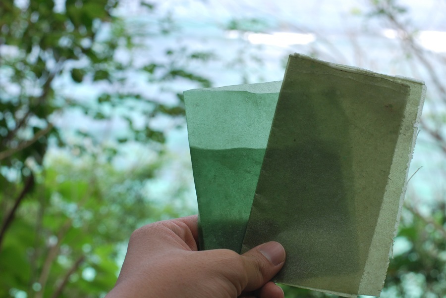 seaweed based packaging