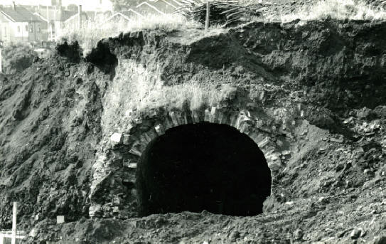 Jeden z nejstarších tunelů na světě je Trevithickův nedaleko Plymouthu, kde měl Trevithick své železárny