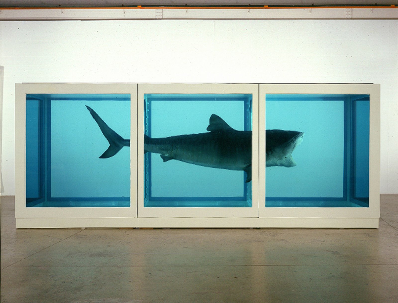 Je libo žraloka za sta tisíce dolarů? Pozor, moc nedrží pohromadě damienhirst zralok