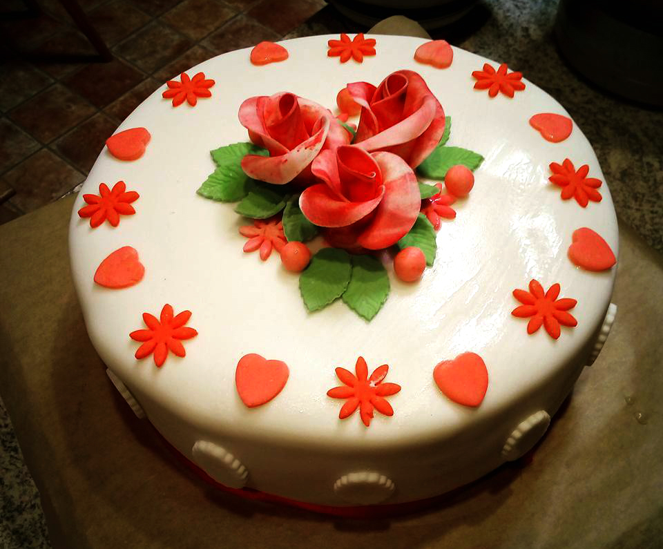 dort 2 lenky hanykove foto archiv lenky hanykove