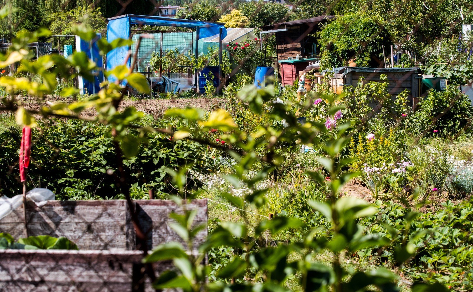 zahradka4 0345296620