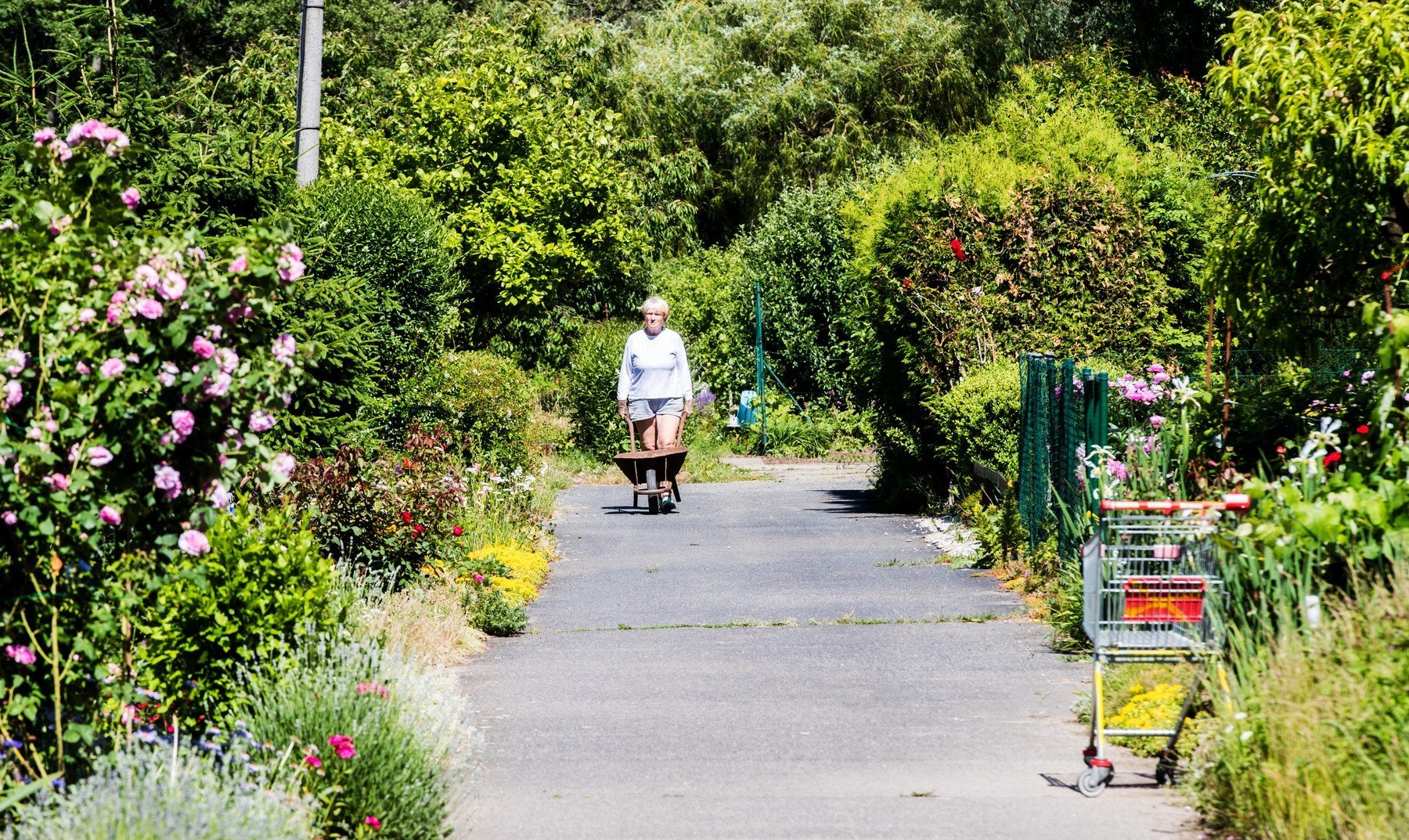 zahradky2 0345297169