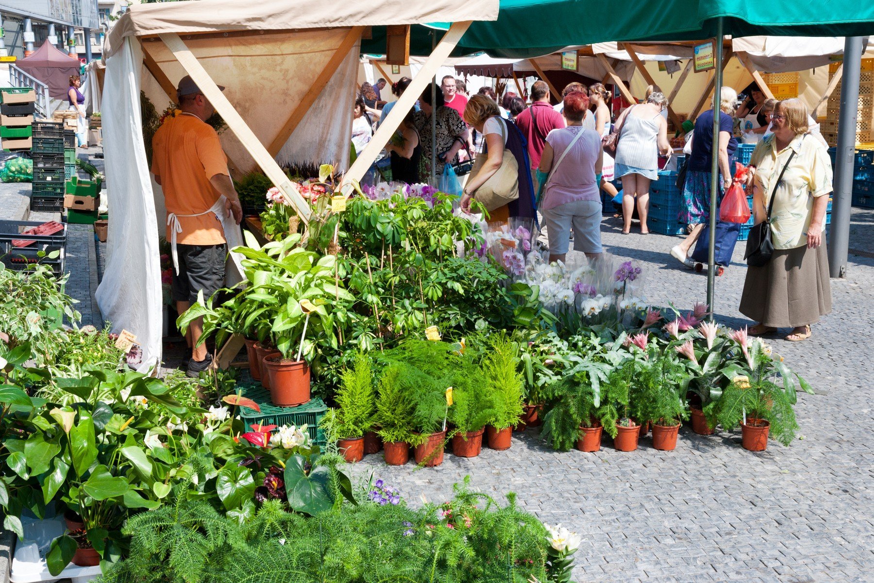 andel trh 0138863220