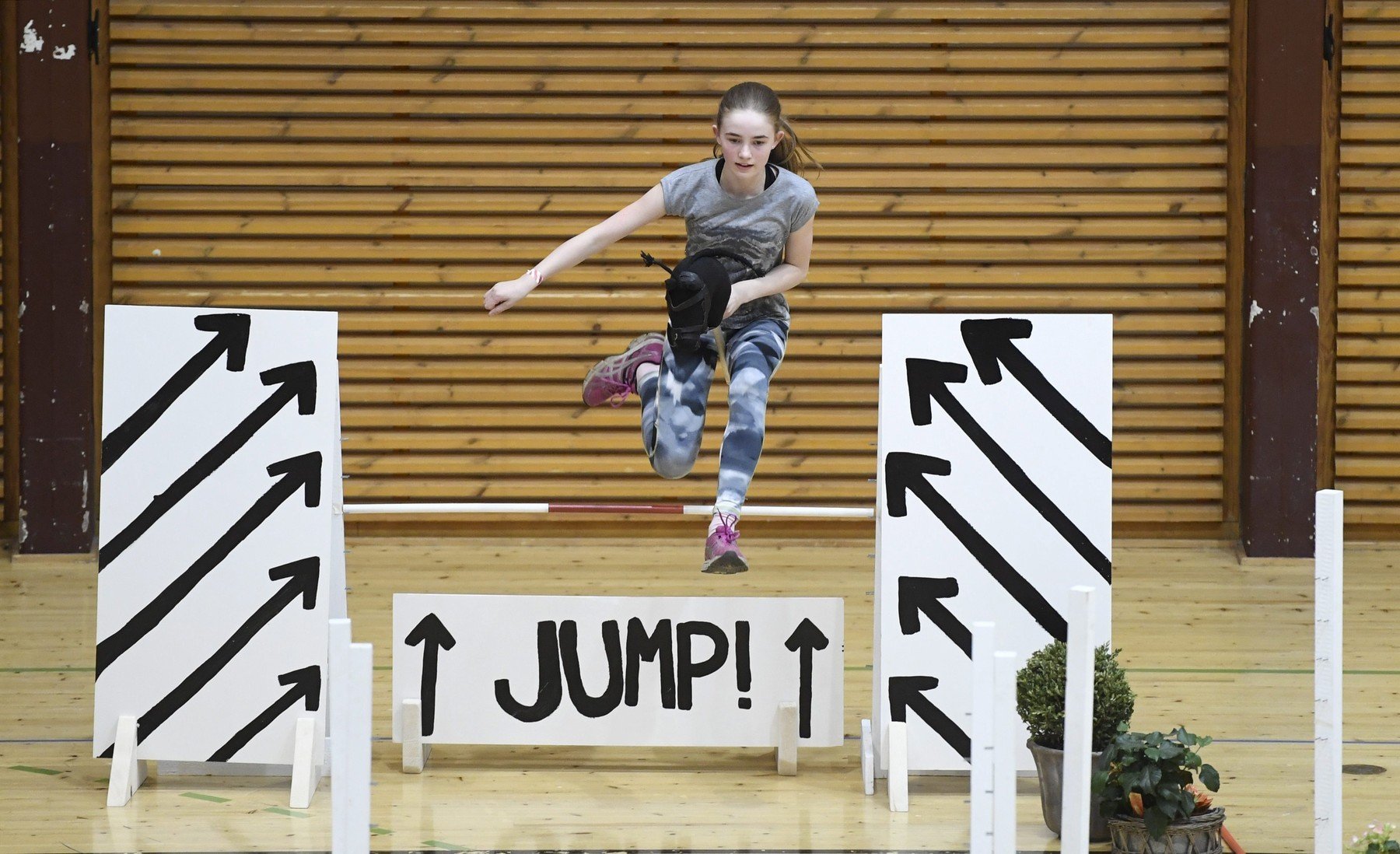 hobbyhorsing 0330608347