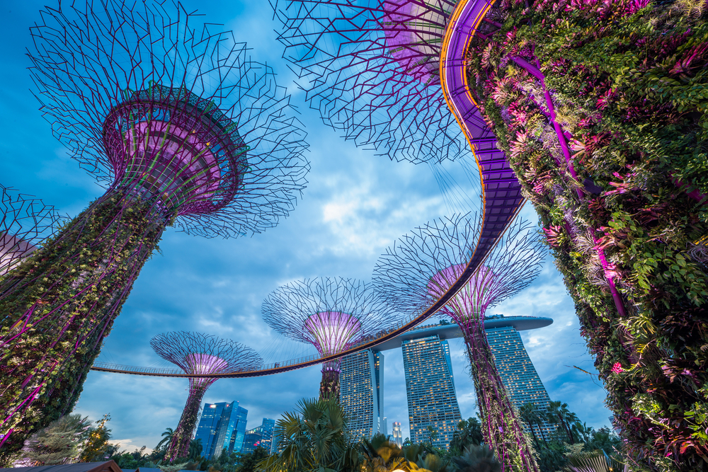 Singapur si umí hrát s dopravou i architekturou. Zde je například městská "skyline" singapur 377070661