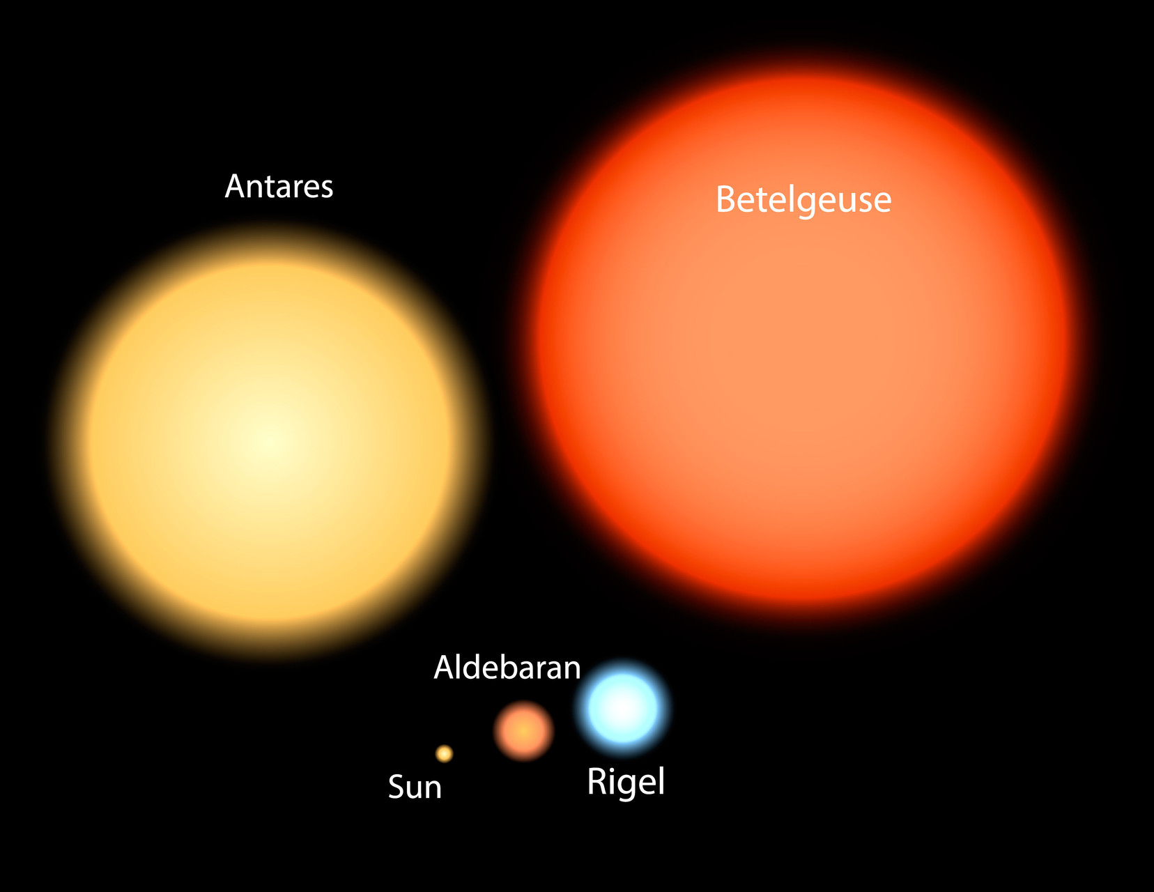 Srovnání Betelgeuze se Sluncem a Antares, což je nejjasnější hvězda v souhvězdí Štíra shutterstock 1230187372