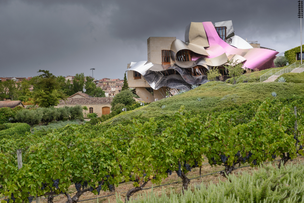 gehry elciego 1218292108