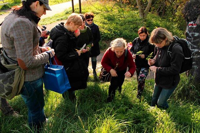 jedle kytky kytkykjidlu cz 05.jpg websize