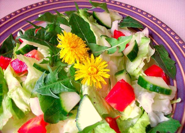 salat pampelisy kytkykjidlu cz websize