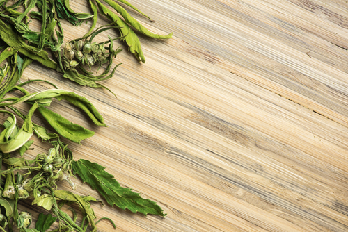 shutterstock 632736752