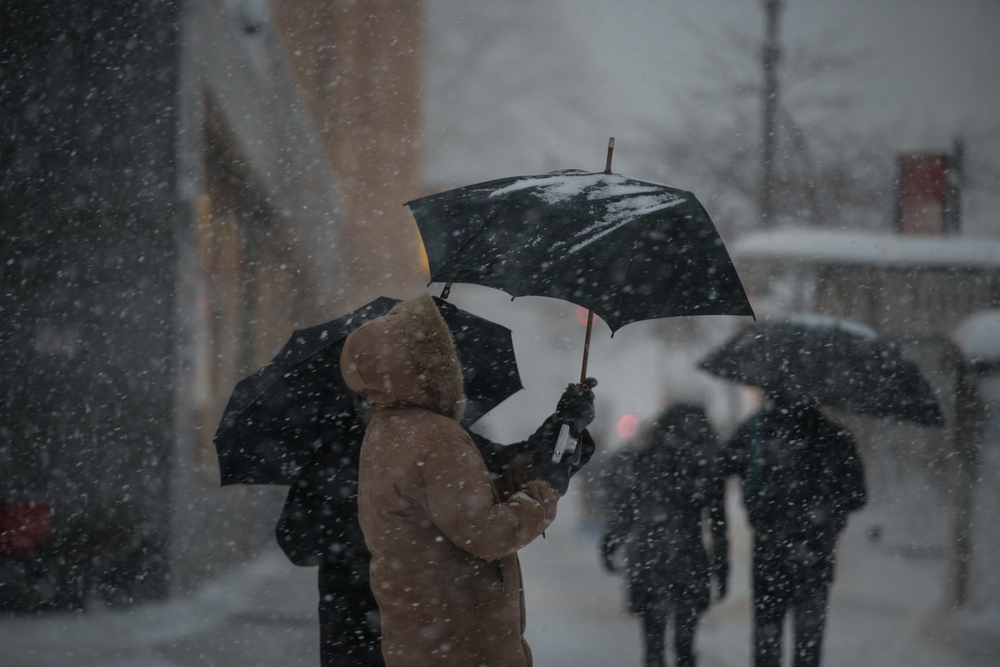 mesic shutterstock 367471286